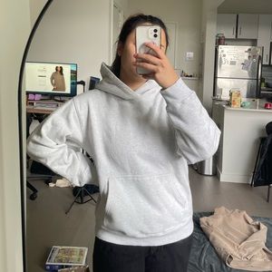Aritzia TNA Cozy Fleece Perfect Hoodie